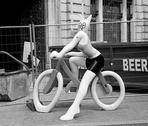 Belgian cat on bicycle